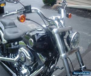 Motorcycle 2013 Harley-Davidson Softail for Sale