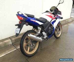 Motorcycle 2009 Honda CBR 125 LAMS motorcycle RWC INCLUDED, low k's FREE Helmet for Sale