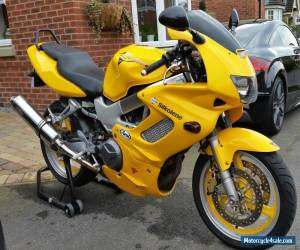 Motorcycle Honda VTR1000 Firestorm for Sale