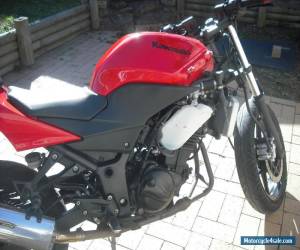 Motorcycle kawasaki ninja 250r for Sale