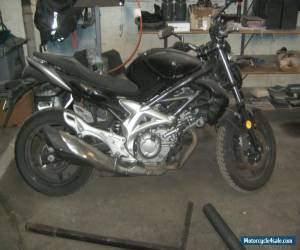 Motorcycle Suzuki Gladius for Sale