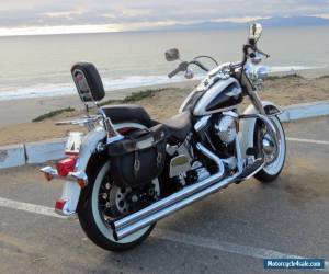 Motorcycle 1993 Harley-Davidson Softail for Sale