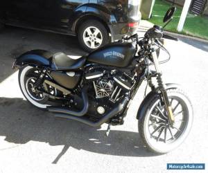 Motorcycle Harley Davidson iron 883 for Sale