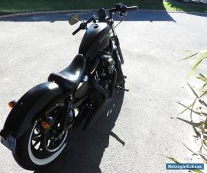 Motorcycle Harley Davidson iron 883 for Sale