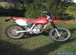 HONDA XR250 for Sale