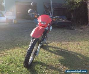 Motorcycle HONDA XR250 for Sale