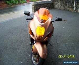 Motorcycle 1999 SUZUKI GSX 1300R HAYABUSA  BROWN for Sale