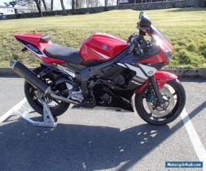 Motorcycle Yamaha YZF-R6 2004 in Immaculate Condition, Many Extras, FSH, Akrapovic  for Sale