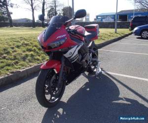 Motorcycle Yamaha YZF-R6 2004 in Immaculate Condition, Many Extras, FSH, Akrapovic  for Sale