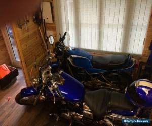 Motorcycle 2003 HONDA VT750DC-2 BLUE for Sale