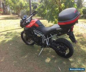 Motorcycle Triumph Tiger 800XC - Orange - 2011 model for Sale