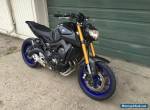 2014 Yamaha FZ for Sale