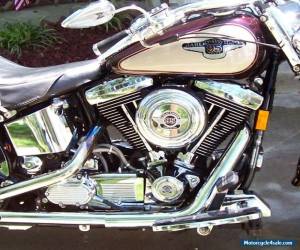 Motorcycle 1998 Harley-Davidson Softail for Sale