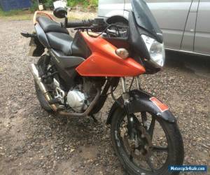 Motorcycle HONDA CBF 125 M-A 2010 LONG MOT GOOD RUNNER SERVICE HISTORY HPI CLEAR for Sale