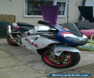 Motorcycle Suzuki TL1000R V-Twin superbike for Sale