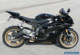 Yamaha R6 2009 (59) Immaculate Condition for Sale
