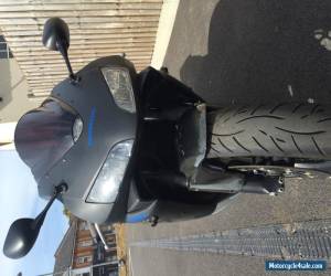 Motorcycle HONDA CBR 600-RR 2003 RR3 MATTE BLACK for Sale