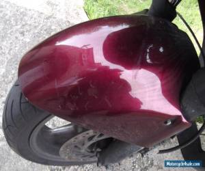 Motorcycle 2002 HONDA ST1100 PAN EUROPEAN, RED,MOT for Sale