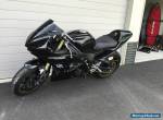 Yamaha R6 2005 Track / Race Bike for Sale