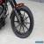 2015 Harley-Davidson Softail for Sale