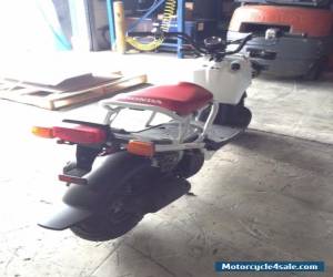 Motorcycle 2015 Honda RUCKUS for Sale